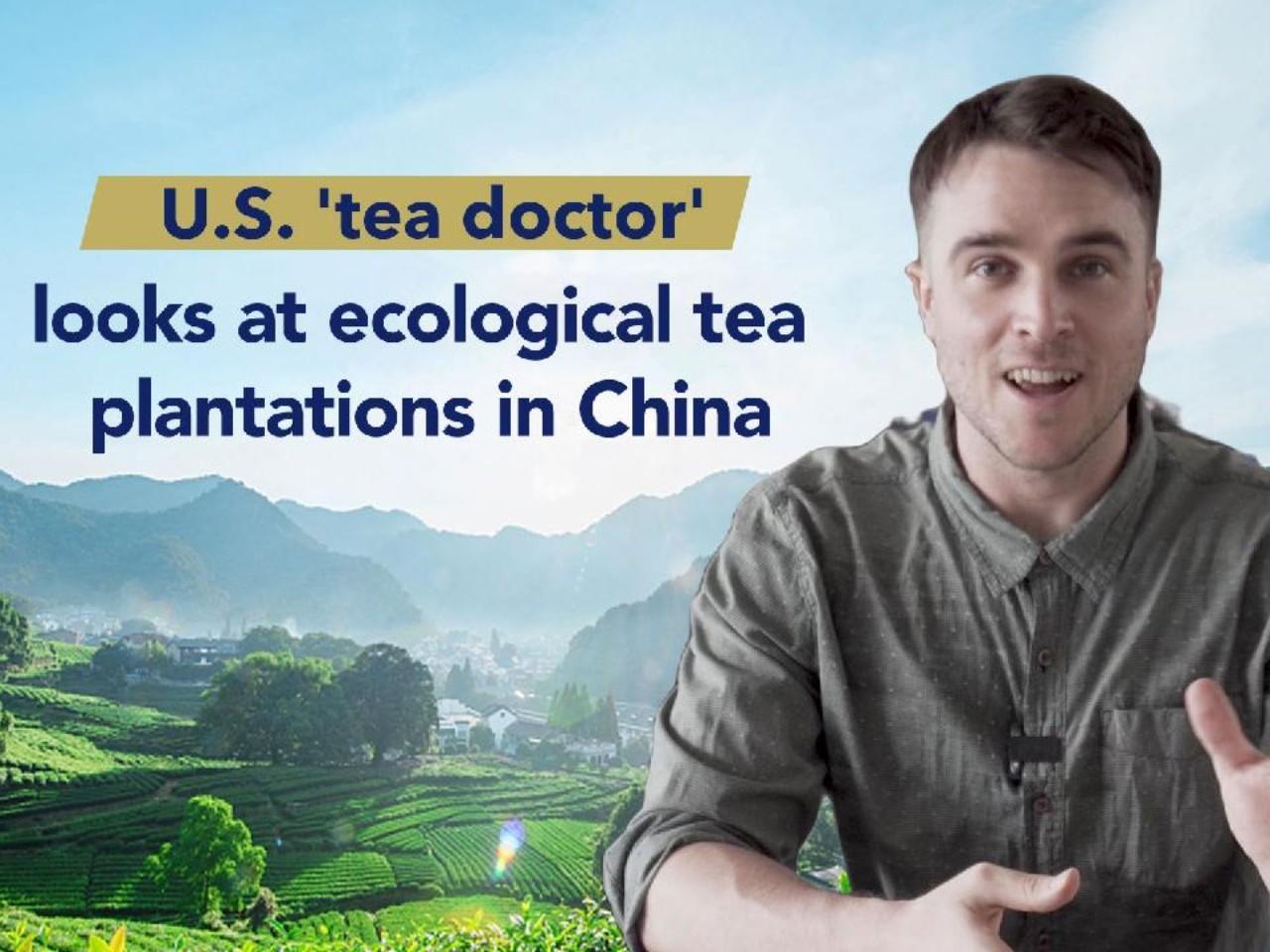 U.S. 'tea doctor' looks at ecological tea plantations in China