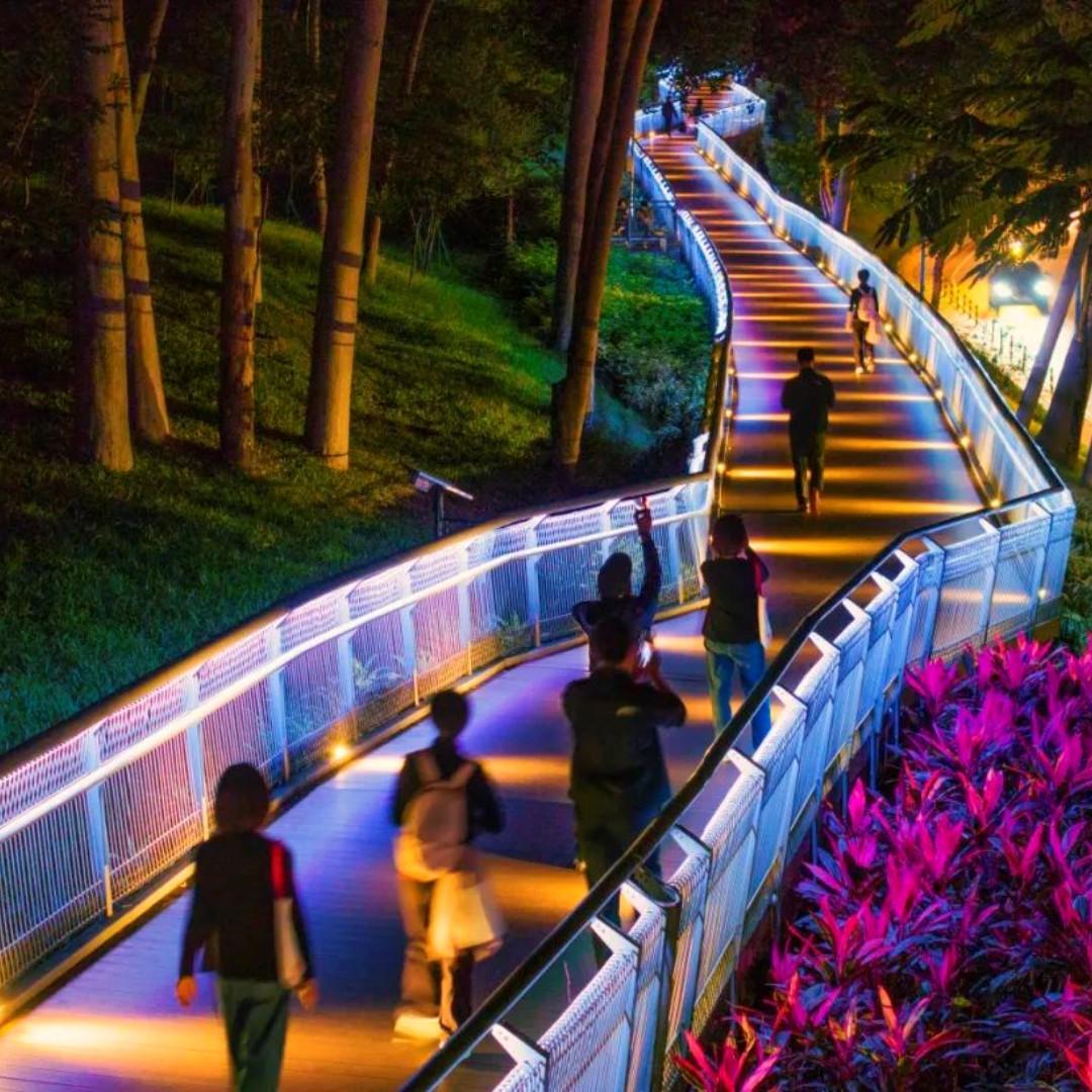Cloud Path opens to visitors at night