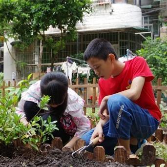 Vitalizing Haizhu through shared community gardens