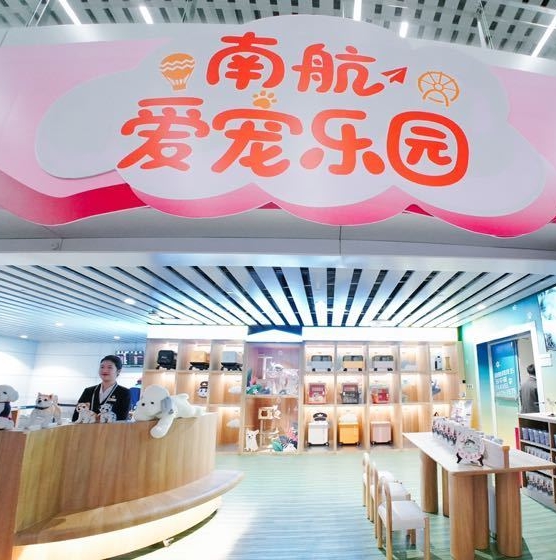 China's first pet travel service rolled out in Guangzhou airport