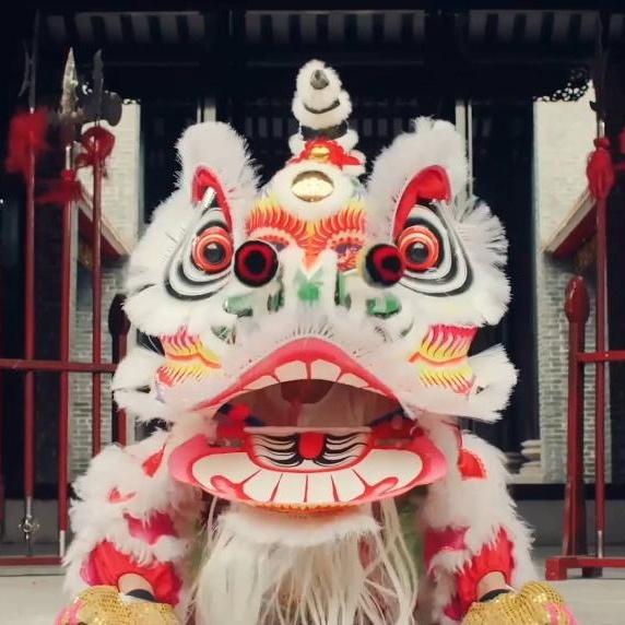 A glimpse of Guangdong Lion Dance