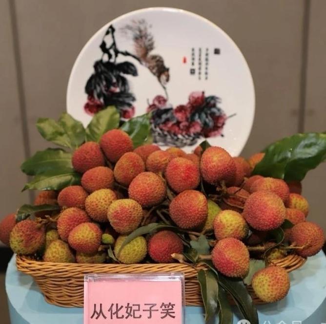 5G digital village in a lychee orchard