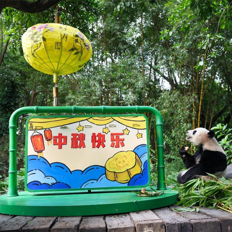 Safari park unveils character based on its newest panda baby