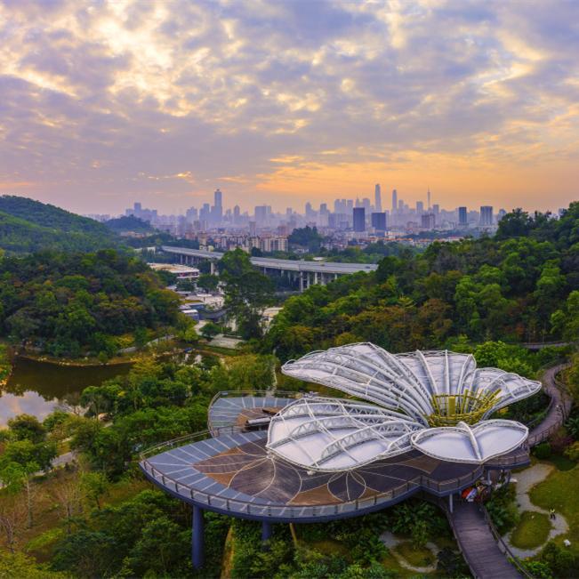 Ticket discounts offered at Guangzhou botanical gardens for Spring Festival