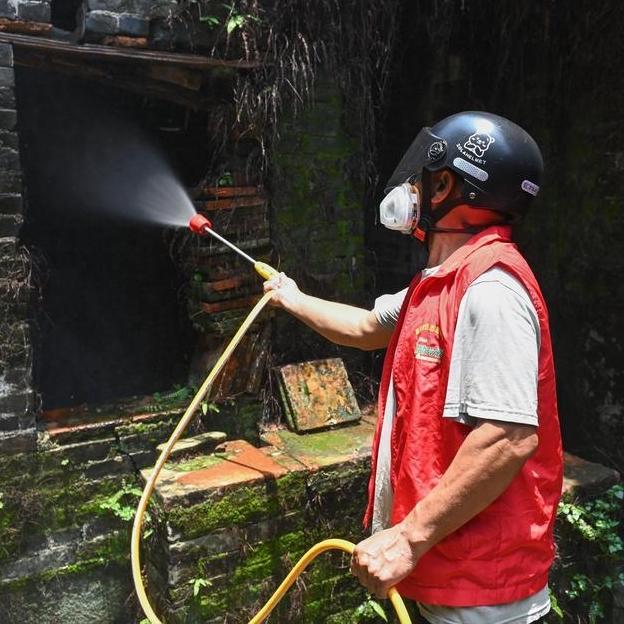 South China's Guangdong sees decline in new Chikungunya cases