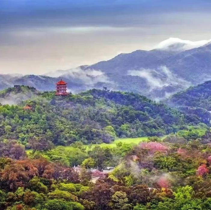 A guide for hiking spots in Guangzhou for Chongyang Festival