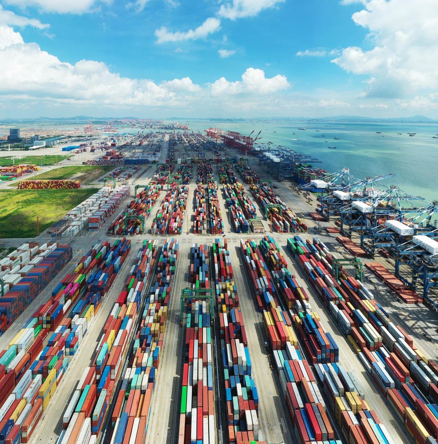 Guangzhou Port helps attract nearly 100 companies to Nansha