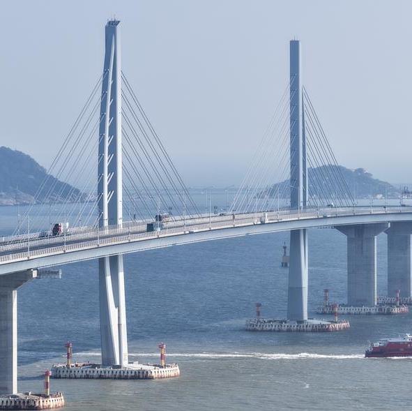 Hong Kong-Zhuhai-Macao Bridge handles over 100 mln passenger trips since opening in 2018
