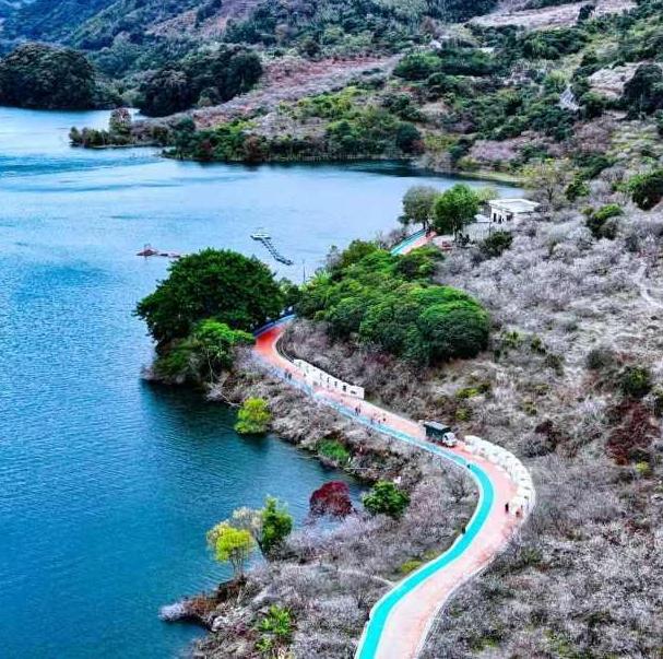 Photos | A sea of snowy plum blossoms at Liuxi River National Forest Park
