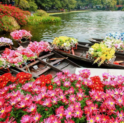 Guangzhou to host Waterborne Flower Market and Spring Flower Show for 2026 Spring Festival