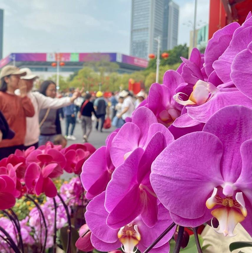 Low-altitude vehicle adds futuristic flair to flower market in Guangzhou