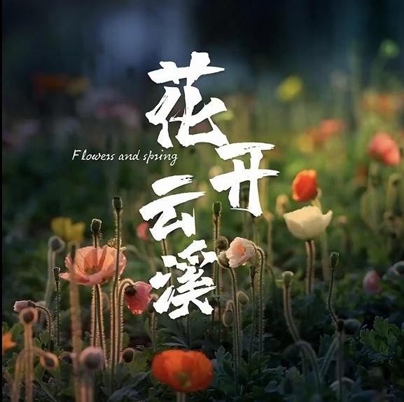 Blossoms at Guangzhou Yunxi Botanical Garden