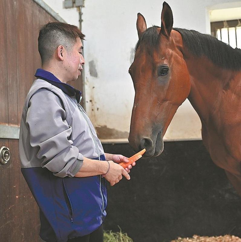 Guangzhou to bring back horse racing after 27 years