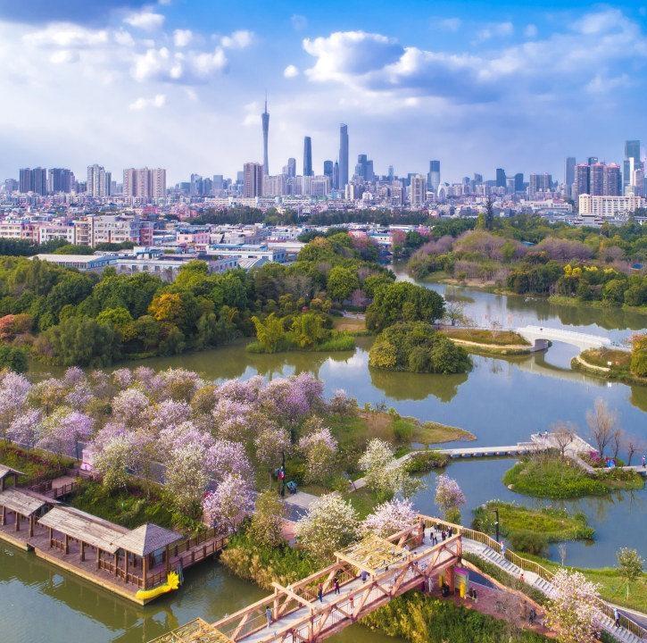 Guangzhou honored with a special mention at urban planning's 'Nobel'