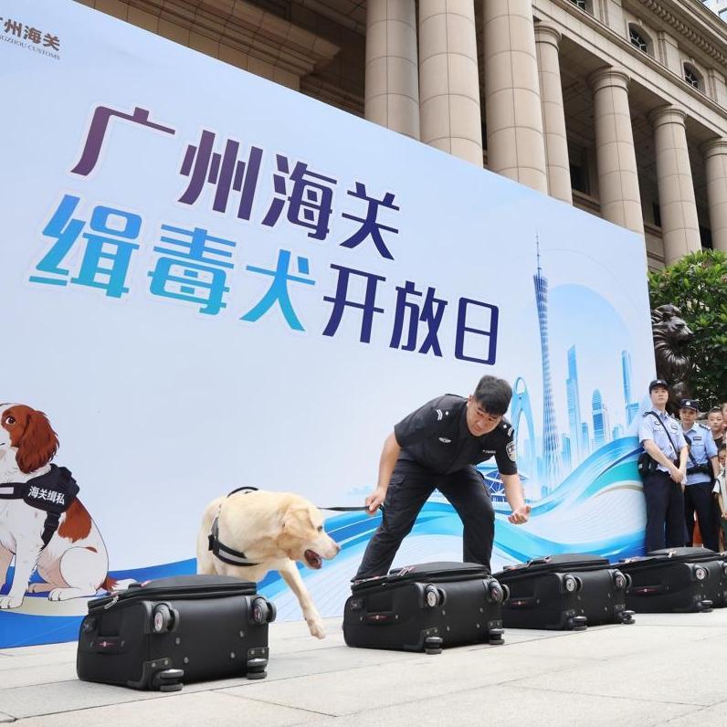 Guangzhou Customs drug detection dogs wow crowd at open day